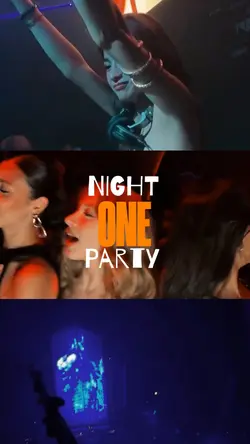 one night party 