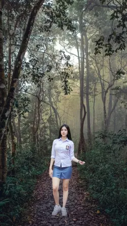 di hutan
