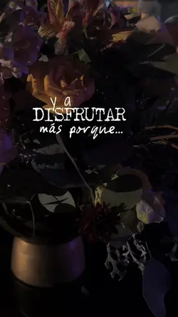 Se los dije ya ✨