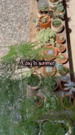 A day in summer 🌿