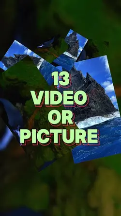 13 video or picture 