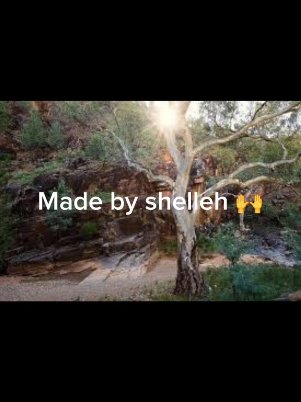Made by my friend 