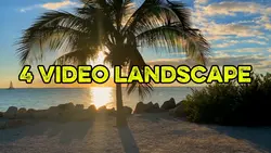 4 video landscape