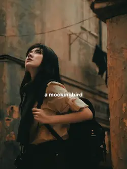 mackingbird