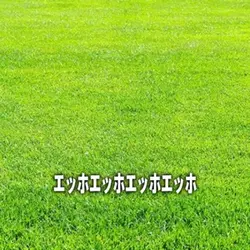 えっほテンプレート!