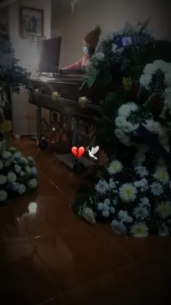 🕊️💔
