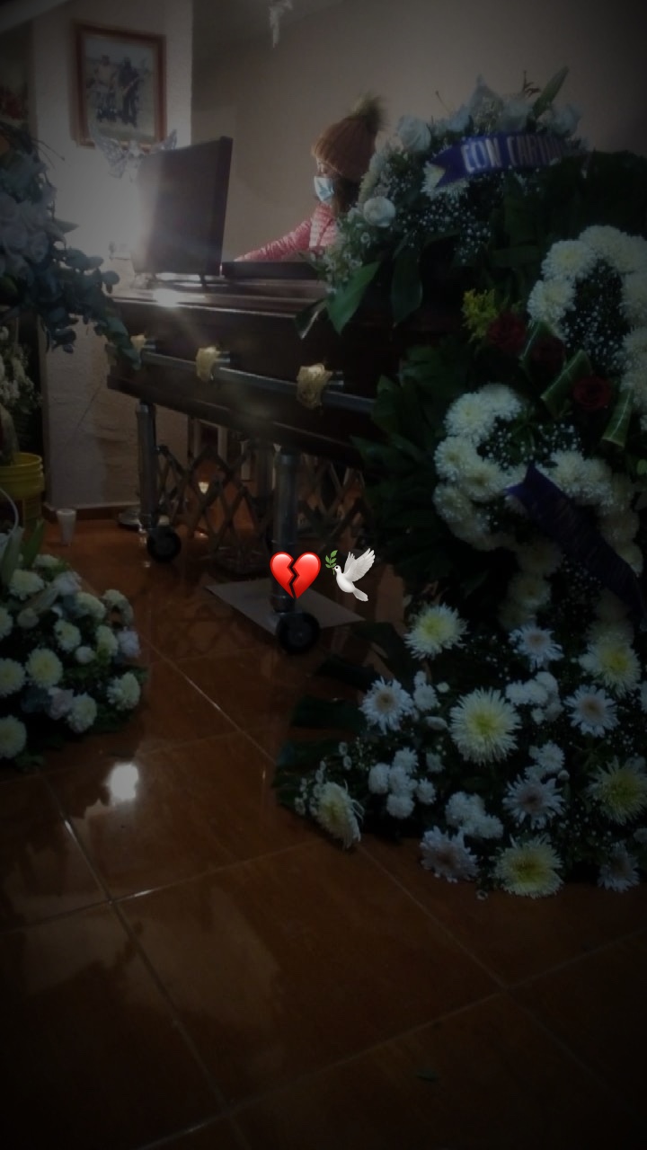 🕊️💔