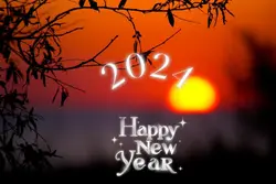 새해템플릿 투척이요