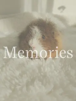 Memories 