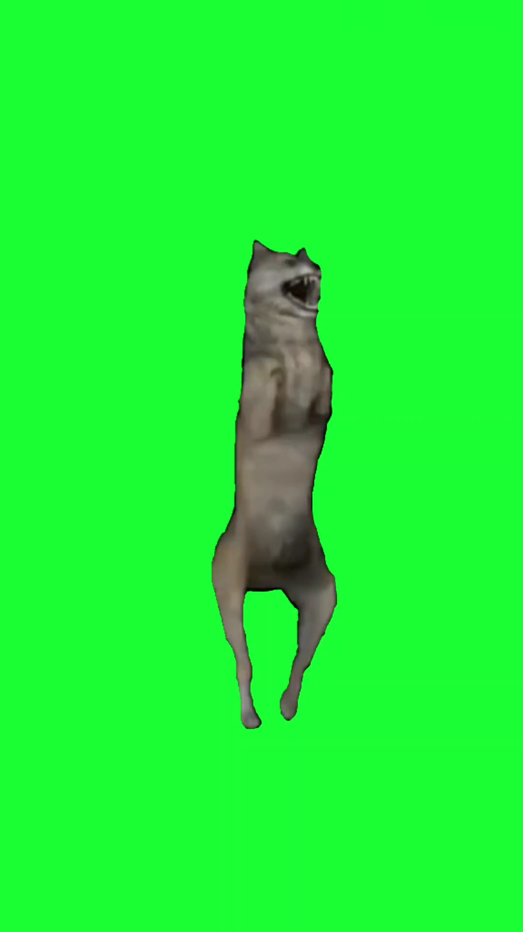 dancing wolf meme