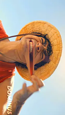 onepiece