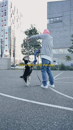 Therapy 