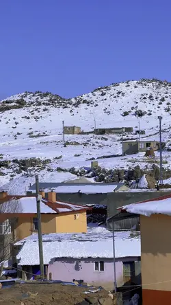 Gulecan