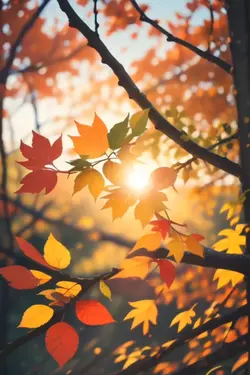 Autumn Whispers 