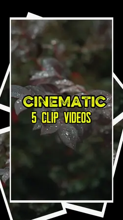 5 clip videos