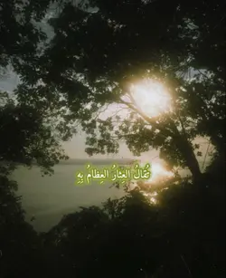 Nasheed 🤍