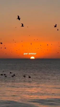 ~ par amour ~
