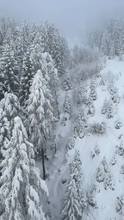 Quiet Winter moments