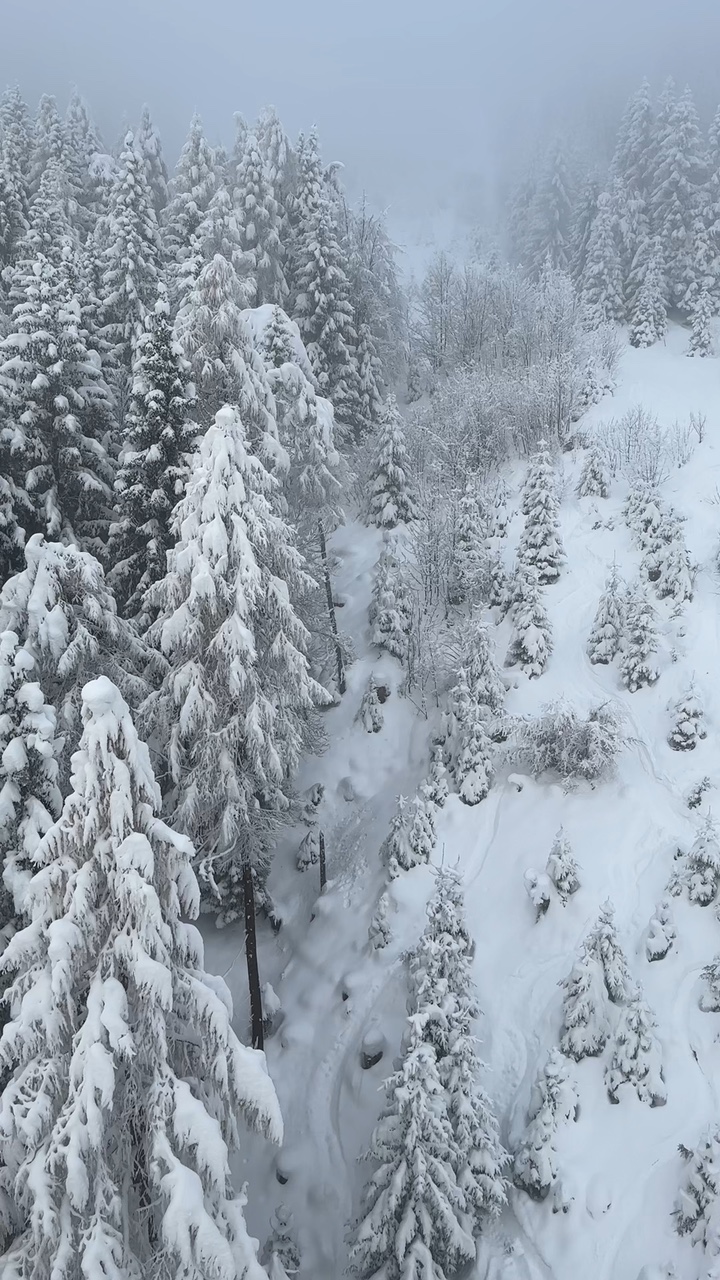 Moments d'hiver calmes