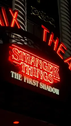 stranger things 🕷️ 