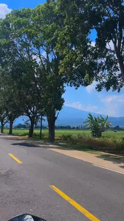 ไม่มีอาชีพไหนสบาย