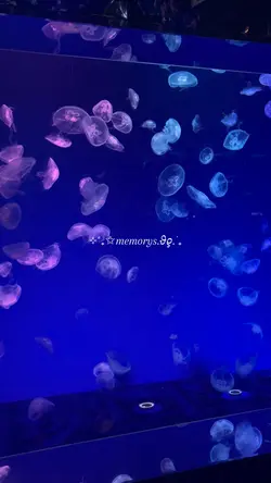 〜思い出動画〜