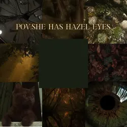 Hazel eyes 😻