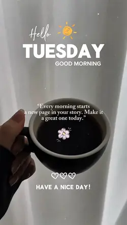 Hello Tuesday ❤️