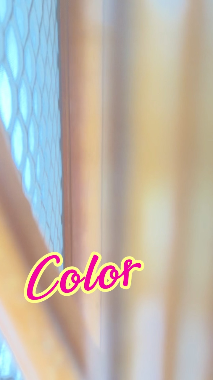 Pesta Warna