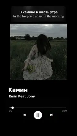 Камин Enimftjony