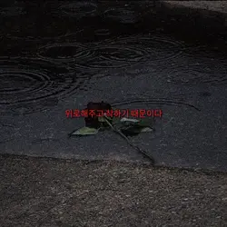 라이벌이 되고싶지않았다고