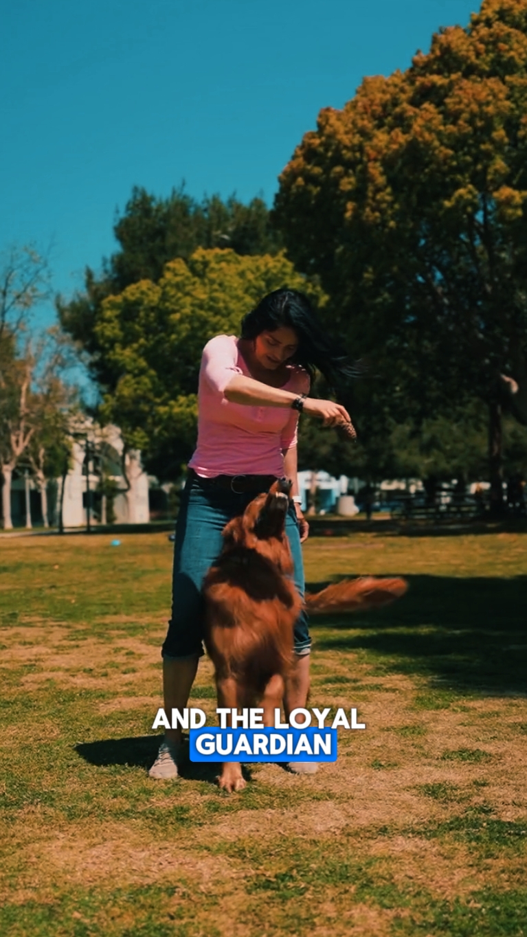 El perro es el mejor amigo