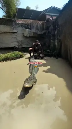 video hook lucu *3