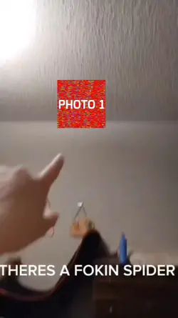 Cody vs Spider