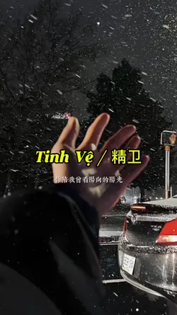 Tinh Vệ / 精卫