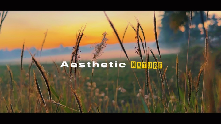 NATURALEZA CINEMÁTICA HD