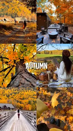 Autumn dump