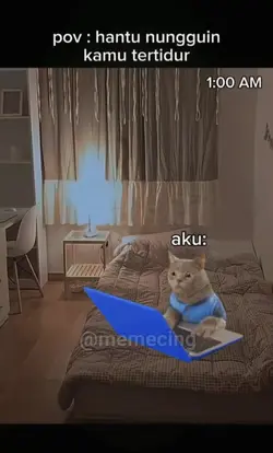 Story