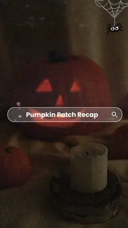 Pumpkin patch