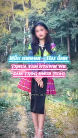 Txhua yam ntawm wb