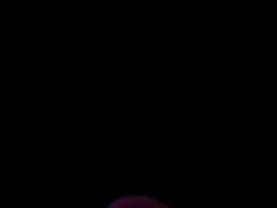 miles morales