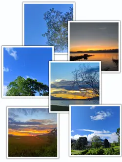 6Pic Aesthetic Trend