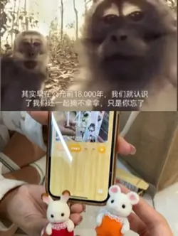 在好幾億年前 我們相識 才換來如今的重圓