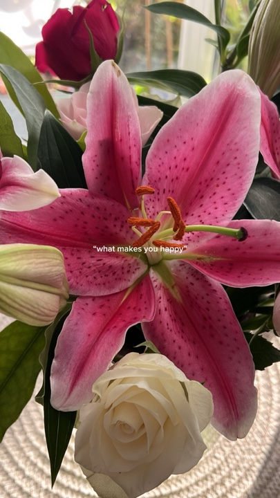 Flores Favoritas 