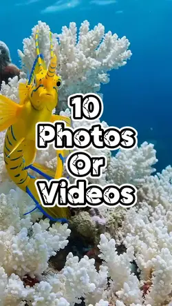 10 slideshow