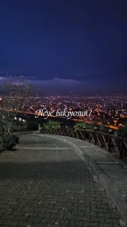 Neye bakıyosun 