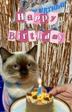 Meow Birthday ☁️🐾