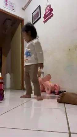 1 video lucu
