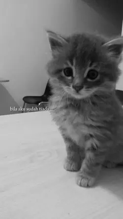 bila aku sudah tiada