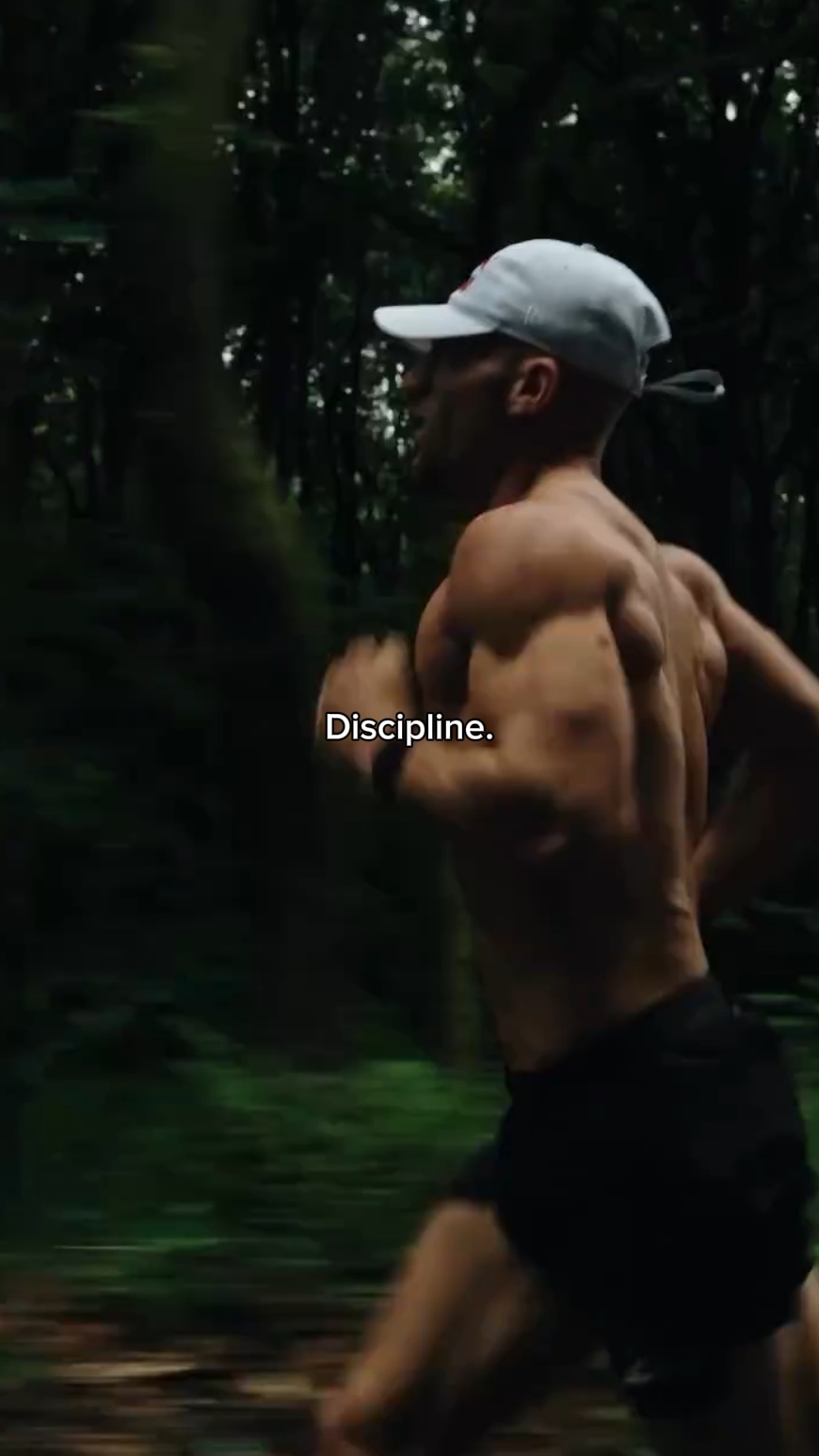 Discipline